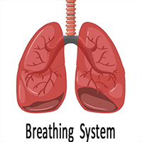 Breathing System