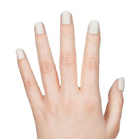 Light Gray Beige F-D