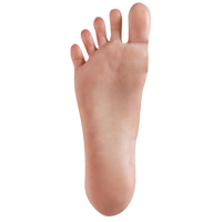 Standing Without Bolts/Hard Feet (FREE)